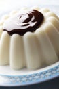 Blancmange with chocolate Royalty Free Stock Photo