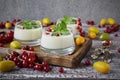 Blancmange curd in a glass Royalty Free Stock Photo