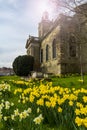 Blandford Forum Church in springtime Royalty Free Stock Photo