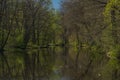 Blanice river with color green trees near weir in Bavorov town