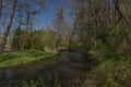 Blanice river with color green trees near weir in Bavorov town