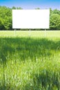 A blank advertising billboard immersed in a grass field - image with copy space