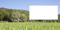 Blank advertising signboard in a countryside with lone tree and woodland in the background - concept with space for inserting text