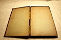 Blank and antique open book