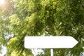 Blank arrow sign in tropical forest with space for text, empty space Royalty Free Stock Photo
