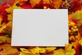 Blank Autumn Card Royalty Free Stock Photo