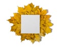 Blank on autumn leaves isolated on white Royalty Free Stock Photo