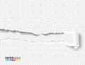 Blank banner with scrolled torn piece with paper hole on transparent as revealing message vector concept Royalty Free Stock Photo