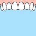 Blank banner Upper healthy teeth illustration vector on blue background. Dental concept