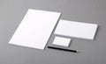 Blank basic stationery. Letterhead flat, business card, envelope