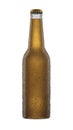 Blank Beer bottle White with water drops isolated on a white background