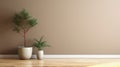 Blank beige brown wall in house with green tropical tree in white modern design pot baseboard on wooden parquet in sunlight for Royalty Free Stock Photo