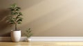 Blank beige brown wall in house with green tropical tree in white modern design pot baseboard on wooden parquet in sunlight for Royalty Free Stock Photo