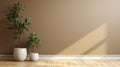 Blank beige brown wall in house with green tropical tree in white modern design pot baseboard on wooden parquet in sunlight for Royalty Free Stock Photo