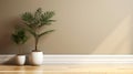 Blank beige brown wall in house with green tropical tree in white modern design pot baseboard on wooden parquet in sunlight for Royalty Free Stock Photo
