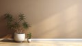 Blank beige brown wall in house with green tropical tree in white modern design pot baseboard on wooden parquet in sunlight for Royalty Free Stock Photo