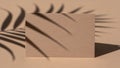 Blank beige card with palm leaf shadow overlay on a minimalist background Royalty Free Stock Photo