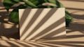 Blank beige card with tropical leaf shadow overlay on a textured surface Royalty Free Stock Photo