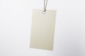 Blank beige eco label tag from recycled kraft paper on cotton twine at light empty background. Eco label tag concept. Mock up. 3D Royalty Free Stock Photo