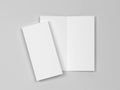 Blank bifold brochure mockup Royalty Free Stock Photo