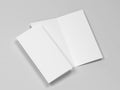 Blank bifold brochure mockup Royalty Free Stock Photo