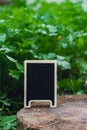 Blank Black billboard against green field garden fresh green herb parsley. Empty mockup template Blackboard label at Royalty Free Stock Photo