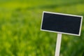 Blank Black billboard against green field landscape Empty mockup template Blackboard label at farm land. Copy space Royalty Free Stock Photo