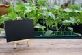 Blank black board on wooden plank for advertistment organic vegtable plant proucts,health food and living