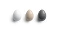Blank black, brown and white easter chicken egg mockup set Royalty Free Stock Photo