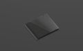 Blank black closed disk case mock up, side view, isolated Royalty Free Stock Photo