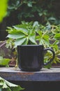 A blank black coffee mug on the rusty old overgrown park table Royalty Free Stock Photo