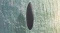 Blank black surfboard with fins on water surface mockup