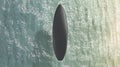 Blank black surfboard on water surface mock up, top view