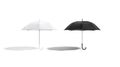 Blank black and white opened umbrella mockup stand, isolated