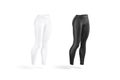 Blank black and white women sport leggings mock up, isolated