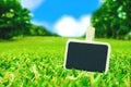 Blank Blackboard clip on green grass field with blur park background,Spring and summer time,Leave space for adding your text Royalty Free Stock Photo