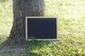 Blank blackboard on the grass near the tree Royalty Free Stock Photo