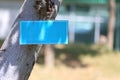 Blank blue label on trunk of tree Royalty Free Stock Photo
