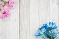 Blank blue and pink daisies bunch of flowers on a weathered whitewashed wood background