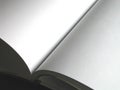 Blank book