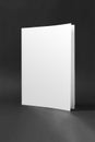blank book cover mockup Royalty Free Stock Photo