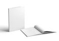 Blank book and notebook Royalty Free Stock Photo