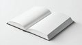 Blank book open pages, empty space for text or design, minimalistic style Royalty Free Stock Photo