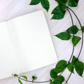 Blank book spread with white paper and green plant on wooden table. Notebook mockup top view. Artistic flat lay