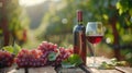 a blank bottle of wine, a glas or red wine and some fresh grapes on a table Royalty Free Stock Photo