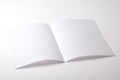 Blank brochure Royalty Free Stock Photo