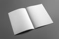 Blank Brochure magazine on grey to replace your design