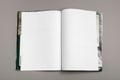 Blank Brochure magazine isolated on grey to replace your design Royalty Free Stock Photo