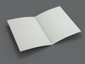 Blank Brochure magazine isolated to replace your design. 3D Royalty Free Stock Photo