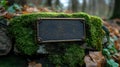 Blank bronze plaque, mossy stone, autumn forest, memorial Royalty Free Stock Photo